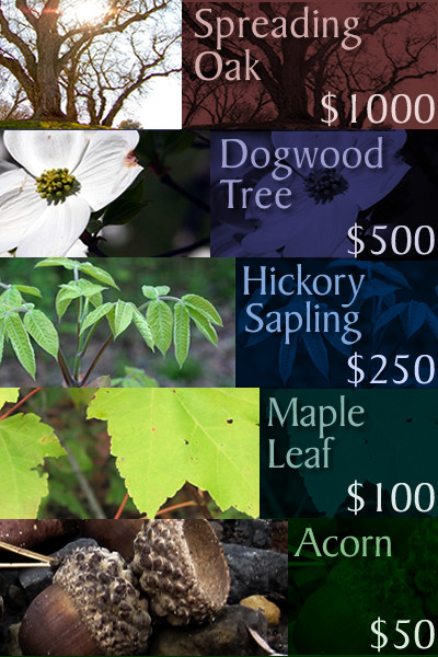 South Fork Nature Center Contribution Levels