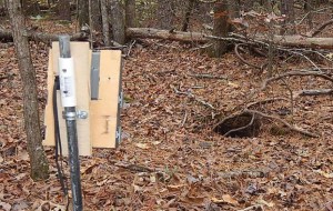 Mighty-Fortress-Burrow