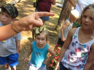 butterfly-release2