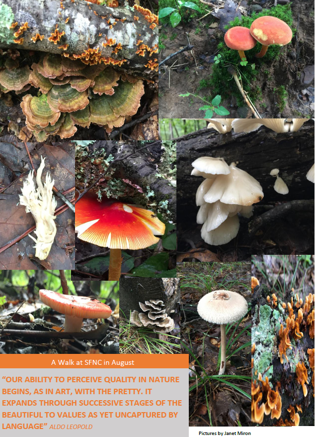 Walk at South Fork Nature Center - Janet Miron