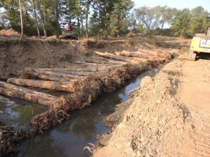 Archey Creek Reclaimed Timber