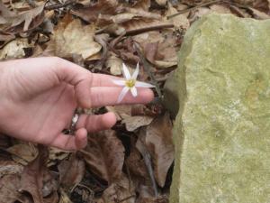 South Fork Nature Walk 2015