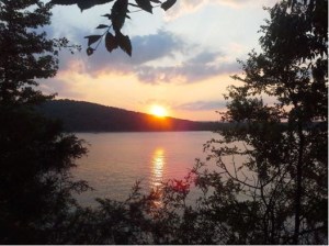 Photo by Joyce Hartmann